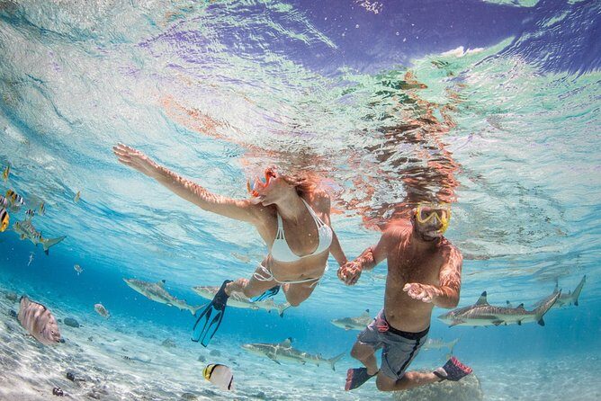 Private Full Day Aquatic Photo Tour + Resort Photo-Shoot (All inclusive) - FAQ