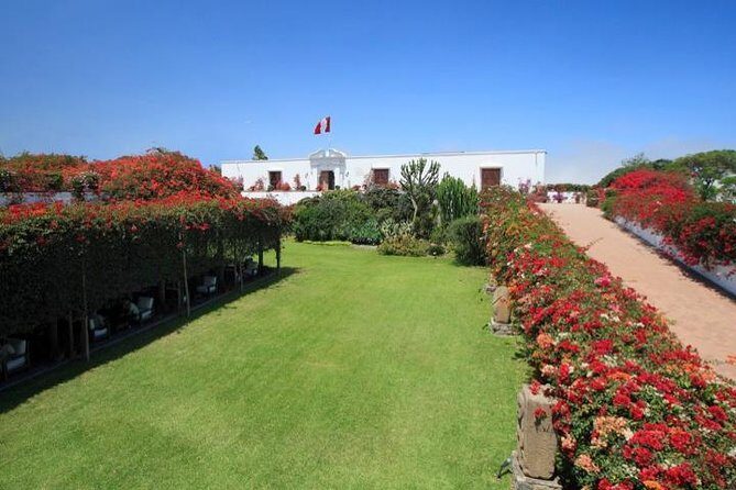 Private Full-Day Best of Lima Tour - Final Thoughts: Is This Tour for You?