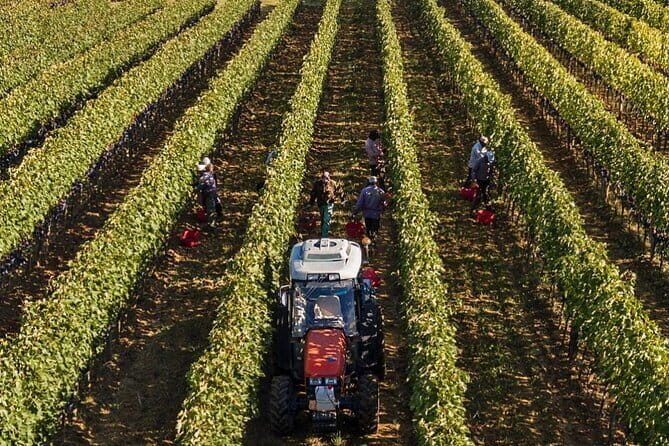 PRIVATE Full-Day Brunello Wine experience from Florence - Final Thoughts: Is This Tour Right for You?