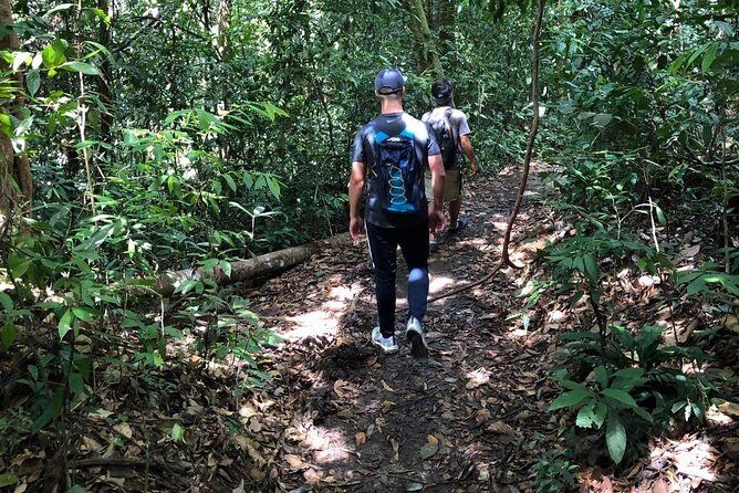 Private Full-Day Bukit Lawang Trekking Tour From Medan - What to Expect During the Trek