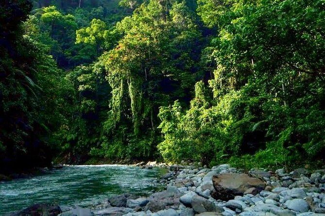 Private Full-Day Bukit Lawang Trekking Tour From Medan - Authentic Experiences & Common Praises