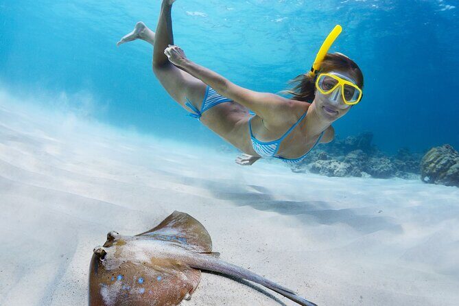 Private Full Day BVI Boat Charter Aboard MV Aquarius - Final Thoughts