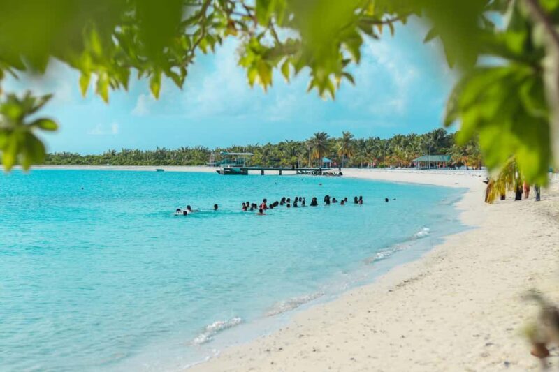 Private: Full-Day Catalina Reef & Beach Escape by Catamaran - Key Points