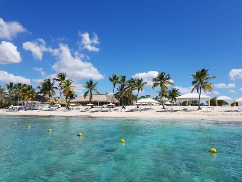 Private: Full-Day Catalina Reef & Beach Escape by Catamaran - The Sum Up: Who Will Love This Tour?