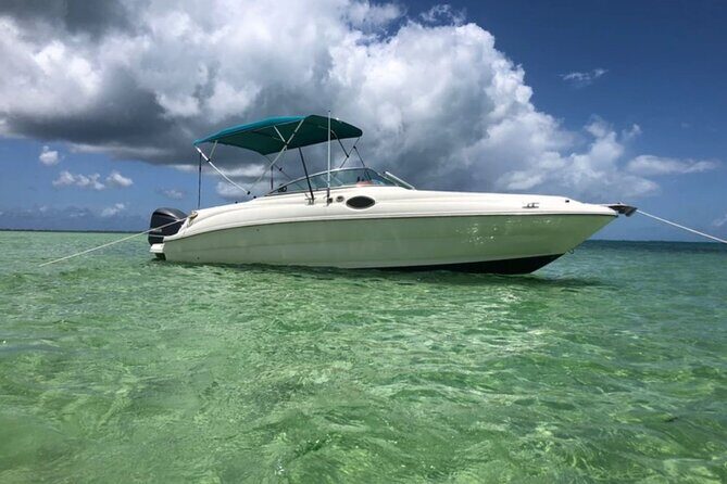 Private Full Day Charter - Stingray City, Starfish Point, Kaibo & Snorkeling - A Private Day on the Water in Grand Cayman – Stingray City, Starfish Point & Snorkeling