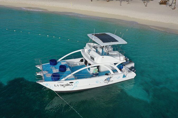 Private Full Day Charter to Saona Island from Punta Cana - Who Would Love This Tour?