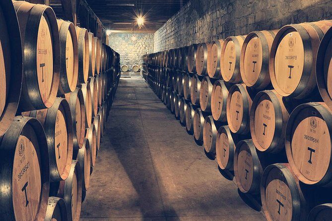 Private Full Day City Tour of Santiago with Wine Experience - The Sum Up