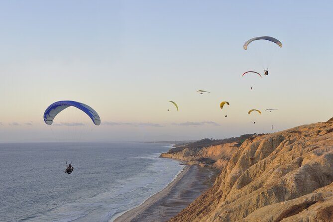 Private Full Day Coastal Tour from San Diego with private driver/guide - Who Should Consider This Tour?