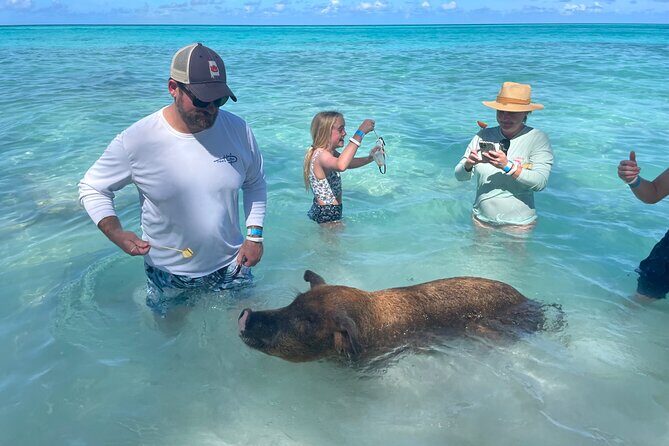 Private Full Day Cruise Tour in Rose Island with Snorkeling - Practical Details and Tips