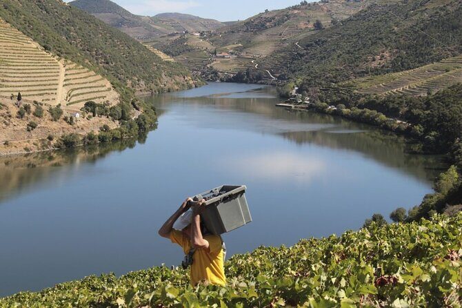 Private Full Day Douro Tour with Lunch - Authentic, Well-Rounded, and Responsible