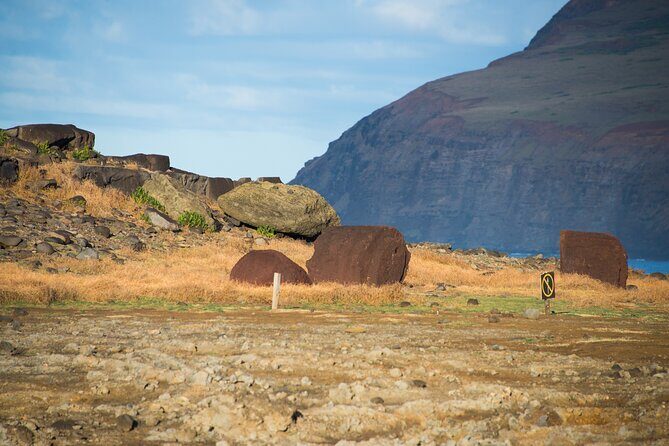 Private Full-Day Easter Island Highlights South and East - Key Points