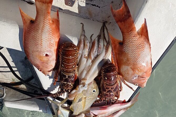 Private Full Day Fishing in Belize Cayes - A Full Day of Belize Cayes Fishing: An Honest Look