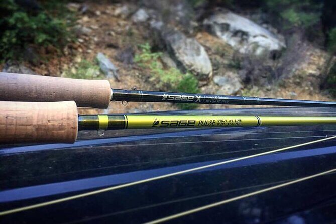 Private Full Day Fly Fishing For Beginners and Experienced Anglers - Key Points