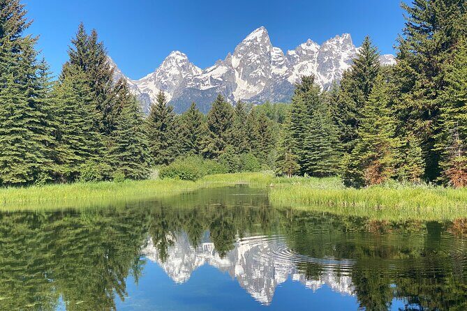 Private Full-Day Grand Teton National Park Tour with Picnic Lunch - Key Points