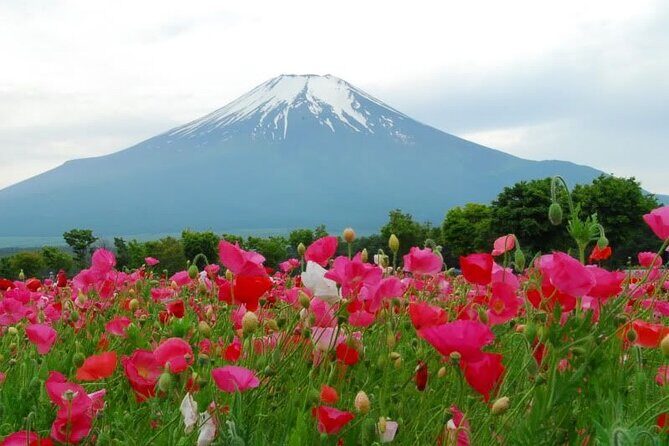 Private Full-Day Guided Tour in Mount Fuji Lakes - Key Points