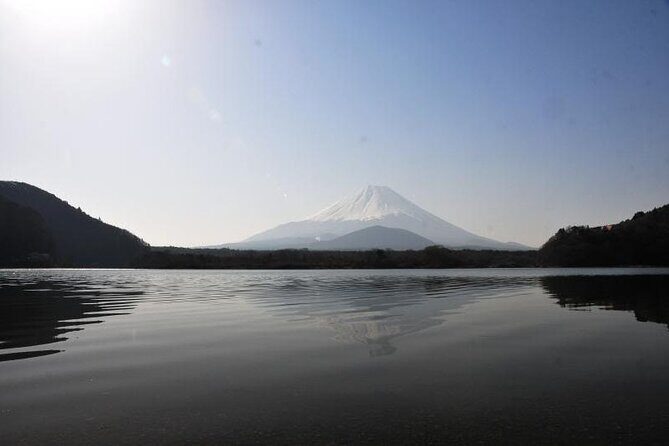 Private Full-Day Guided Tour in Mount Fuji Lakes - Who is This Tour Best For?