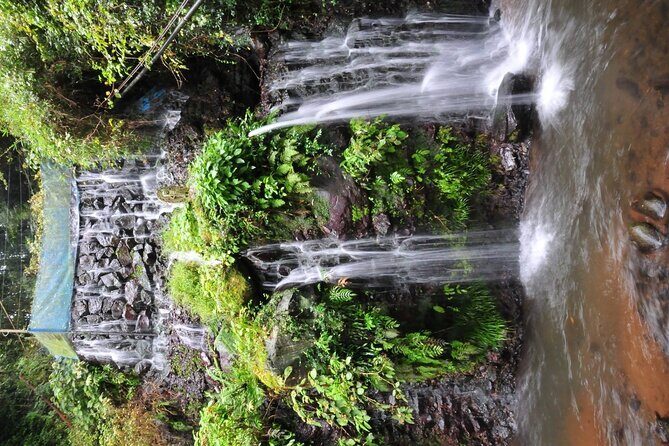 Private Full-Day Guided Tour in Mount Fuji Lakes - Final Thoughts