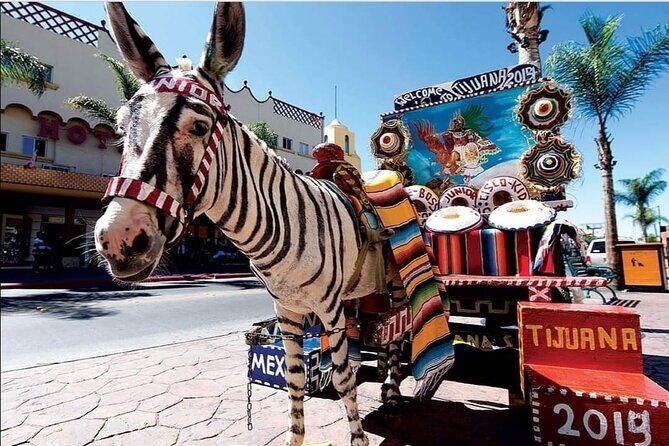 Private Full-Day Guided Tour of Tijuana - FAQ