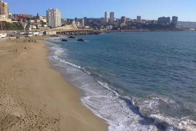 Private Full-Day Guided Valparaiso and Vina Del Mar Tour from Santiago - An In-Depth Look at the Experience