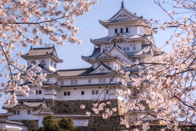Private Full Day Himeji and Kobe Day Tour - Key Points
