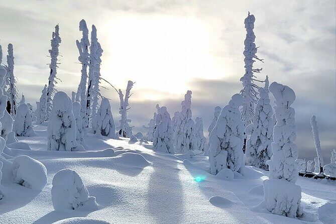 Private Full Day Icefield Parkway Tour - Final Thoughts: Is It Worth It?