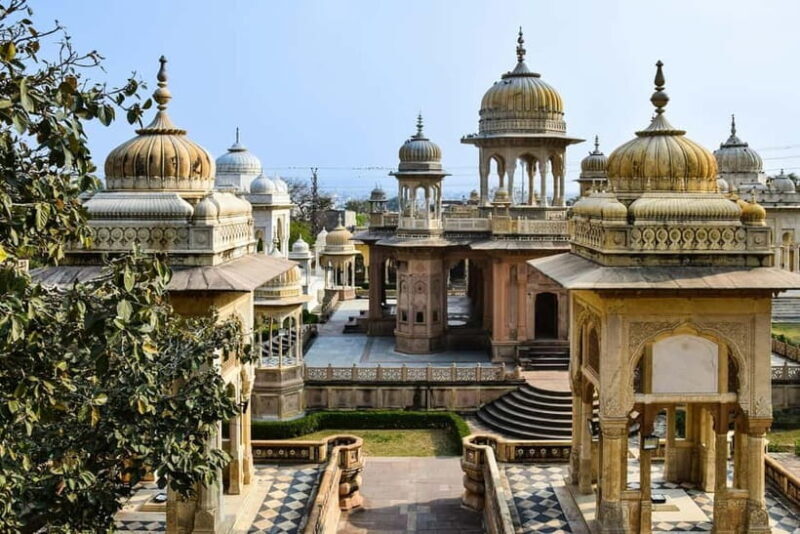Private Full-Day Jaipur Guided Tour with Monkey Temple - A Detailed Look at What Makes This Tour Special