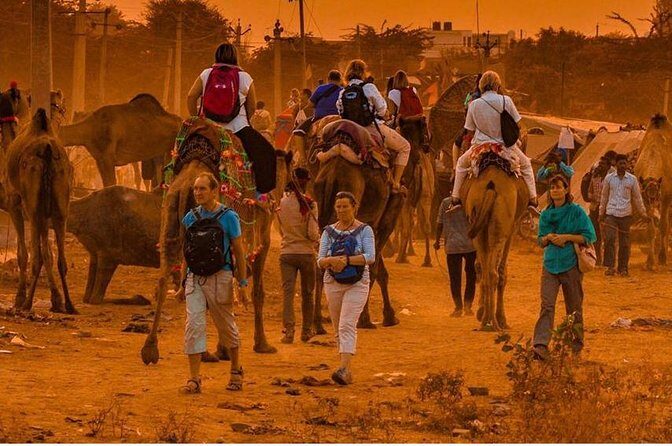 Private Full Day Jaipur Sightseeing Tour By Tuk-Tuk (Rickshaw) - Quick Overview of the Private Full Day Jaipur Tuk-Tuk Tour