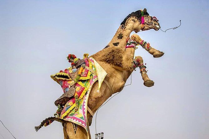 Private Full Day Jaipur Sightseeing Tour By Tuk-Tuk (Rickshaw) - Key Points