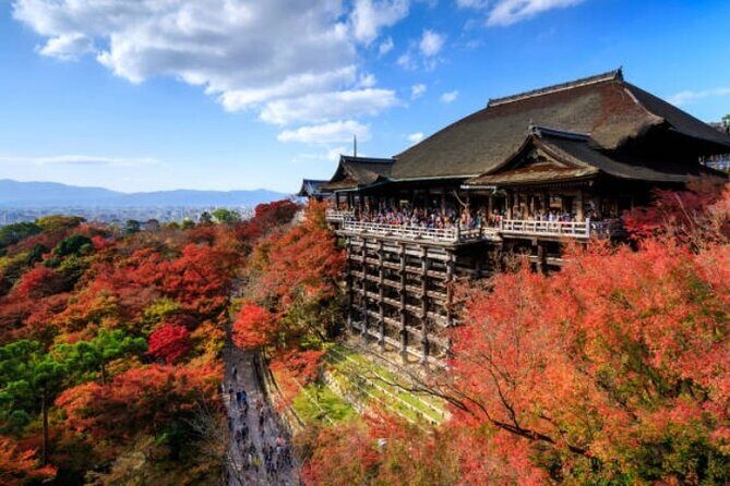 Private Full Day Kyoto HIghlights with Pick-Up and Drop-Off - A Deep Dive into the Kyoto Highlights Tour