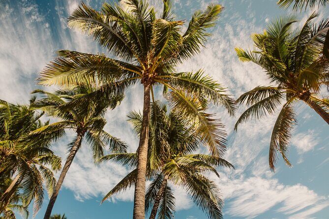 Private Full-Day Lagoon Adventure in Bora Bora with BBQ Lunch - Frequently Asked Questions