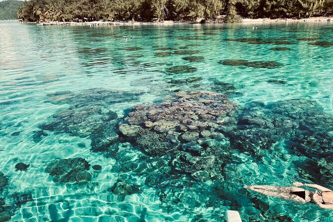 Private Full Day Lagoon Safari and Lunch on a Motu in Bora Bora - Final Thoughts