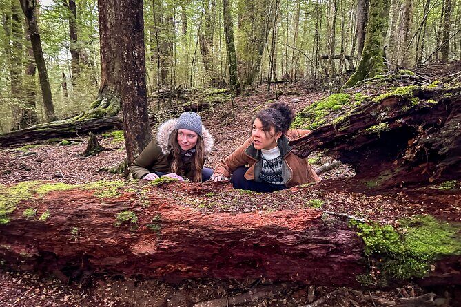 Private Full Day Lord of the Rings Mavora Lakes Adventure! - Why This Tour Delivers Great Value for Fans