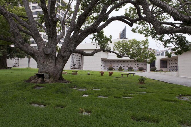 Private Full Day Los Angeles Tour with a Historian and Naturalist - Introduction: A Unique Look at Los Angeles