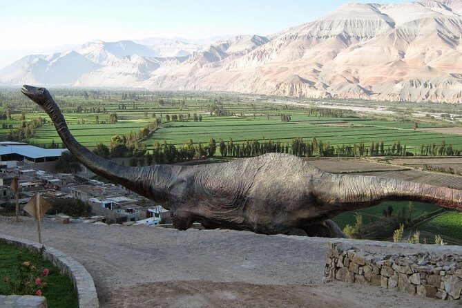 Private Full Day: Majes, Toro Muerto and Dinosaur Footprints. From Arequipa - Overview and First Impressions