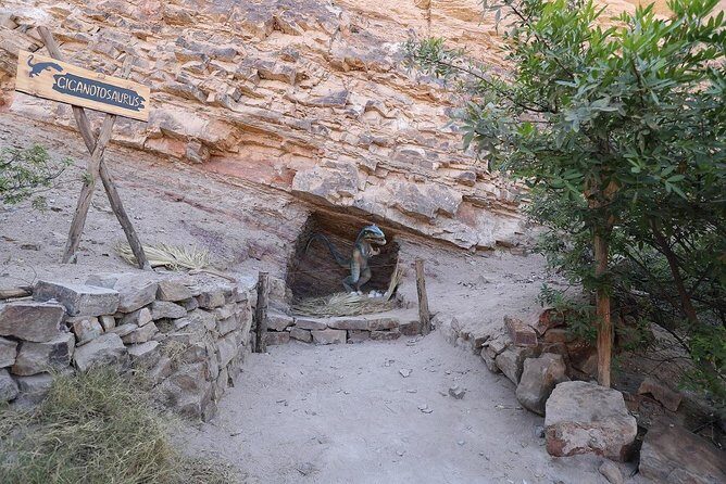 Private Full Day: Majes, Toro Muerto and Dinosaur Footprints. From Arequipa - The Worth of the Price