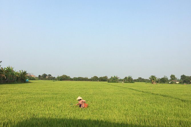 Private Full-day Mekong Tour From Ho Chi Minh City, Including River Cruise - Key Points