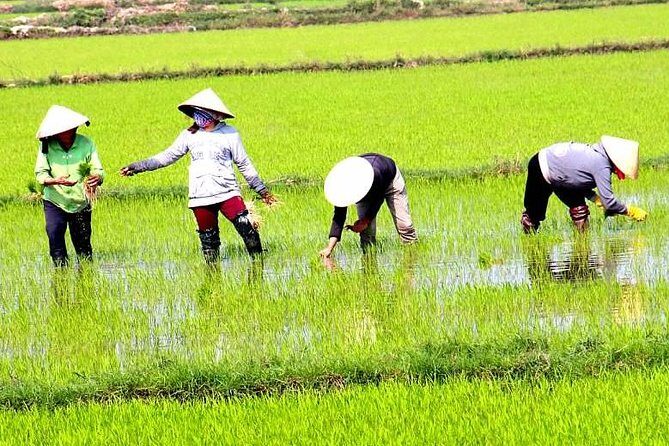 Private Full-day Mekong Tour From Ho Chi Minh City, Including River Cruise - Why This Tour Stands Out