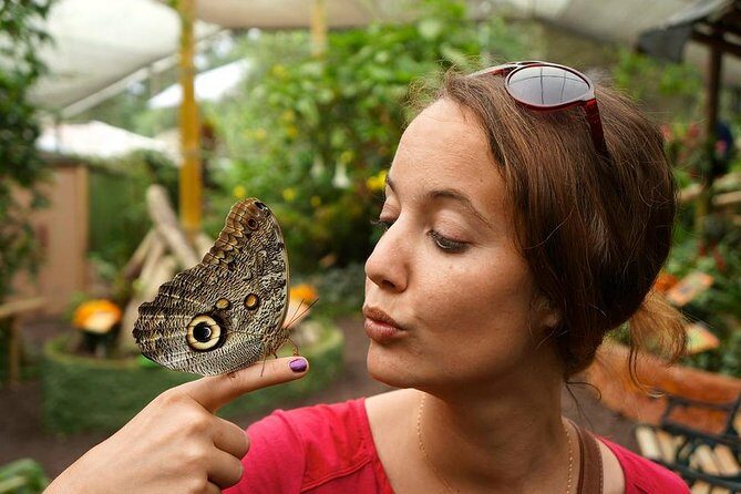 Private Full-Day Mindo Cloud Forest,Butterfly Farm, Chocolate Tour bird watching - Exploring the Mindo Cloud Forest: A Deep Dive