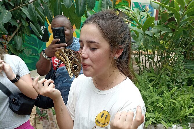 Private Full Day Mindo Tour with Pickup - An In-Depth Look at the Mindo Full Day Tour