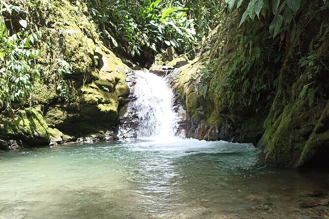 Private Full Day Mindo Tour with Pickup - First Stop: Mariposas de Mindo Butterfly Farm