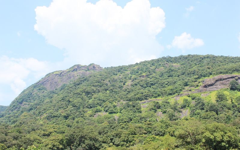 Private Full day Nandi Hill Excursion with Lunch - Who Should Consider This Tour?