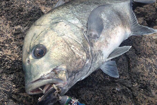 Private Full Day of GT Fishing - Key Points