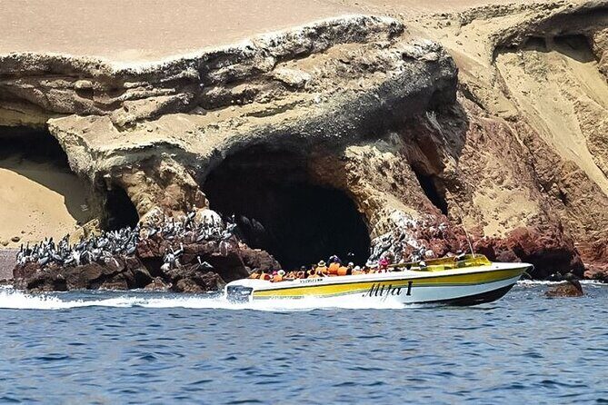 Private Full-Day Paracas Reserve and Ballestas Islands from Lima - Who Will Enjoy This Tour?
