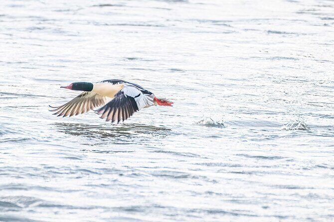 Private Full Day Photography Workshop of Fairbanks - Key Points