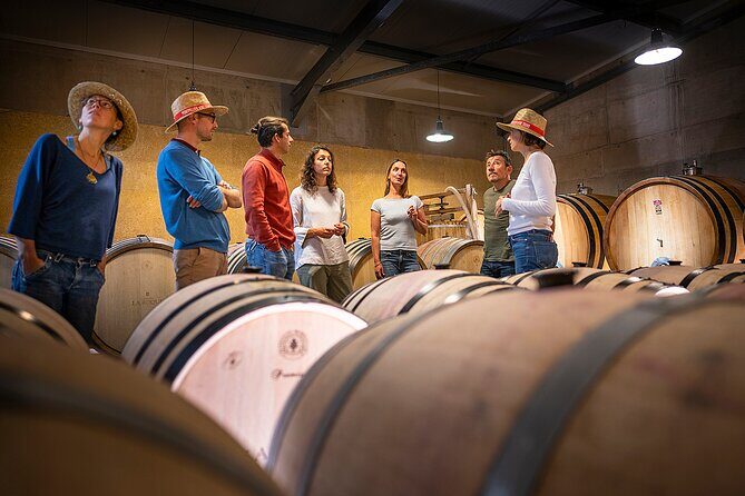 Private Full Day Pic Saint Loup Wine and Olive Tour with Lunch from Montpellier - FAQ