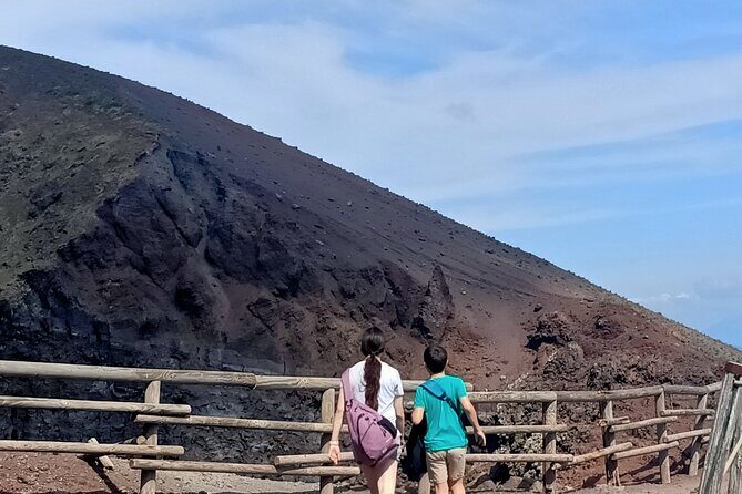 Private Full Day Pompeii & Volcano Vesuvius Tour from Rome - A Well-Organized Day in Pompeii and Vesuvius