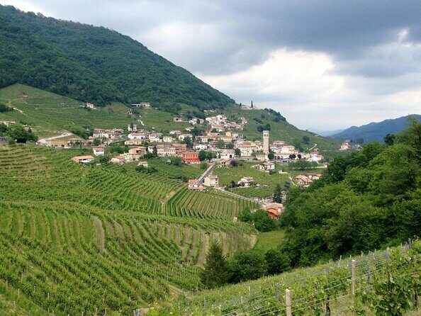 Private Full-Day Prosecco Wine Tour from Venice - An In-Depth Look at This Full-Day Prosecco Tour