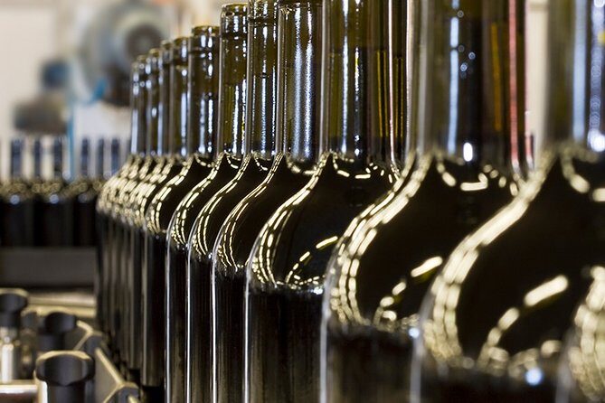 Private Full Day Rafting and Wine From Santiago - A Closer Look at the Tour Experience