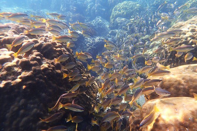 Private Full-Day Red Dragon Yacht to Angthong National Marine Park - FAQs