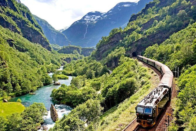 Private Full-Day Round Trip from Oslo to Sognefjord via Flåm Railway - The Sum Up